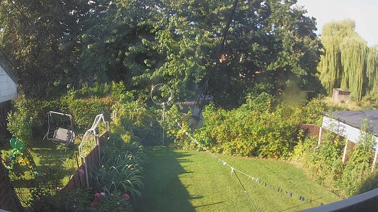 20260821_080250_cam1.jpg