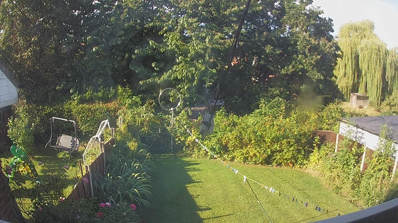 20260821_080717_cam1.jpg