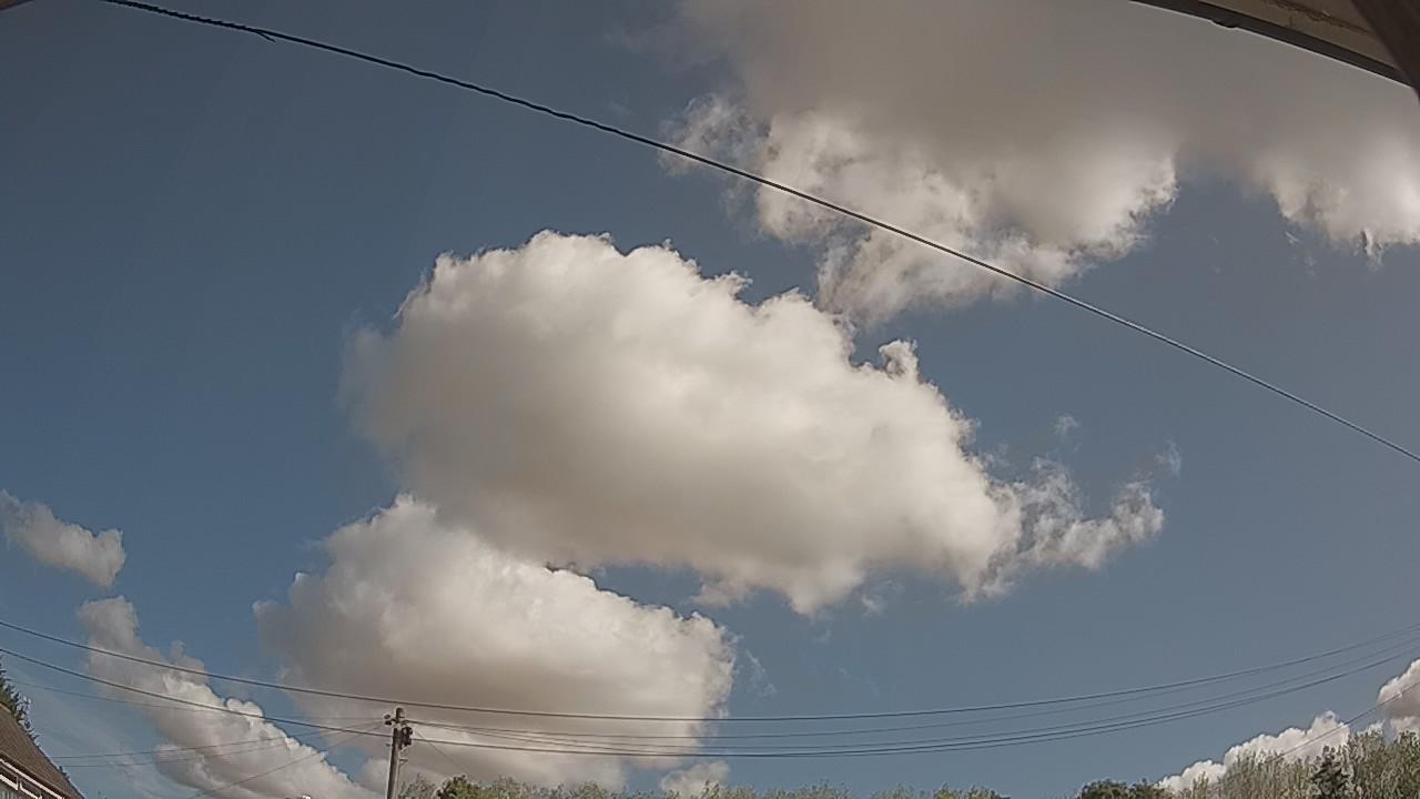 20260821_093135_cam2.jpg