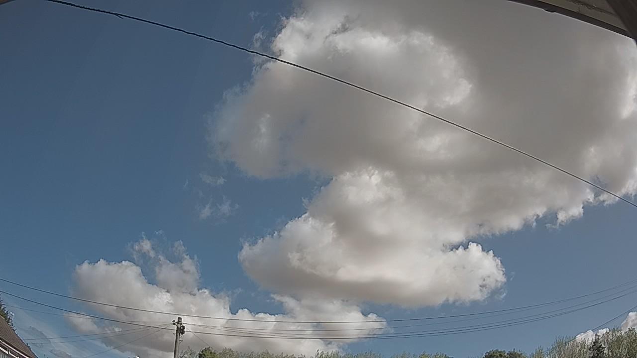 20260821_094010_cam2.jpg
