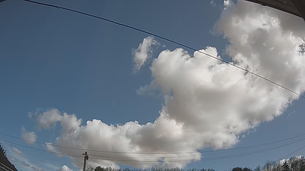 20260821_094427_cam2.jpg