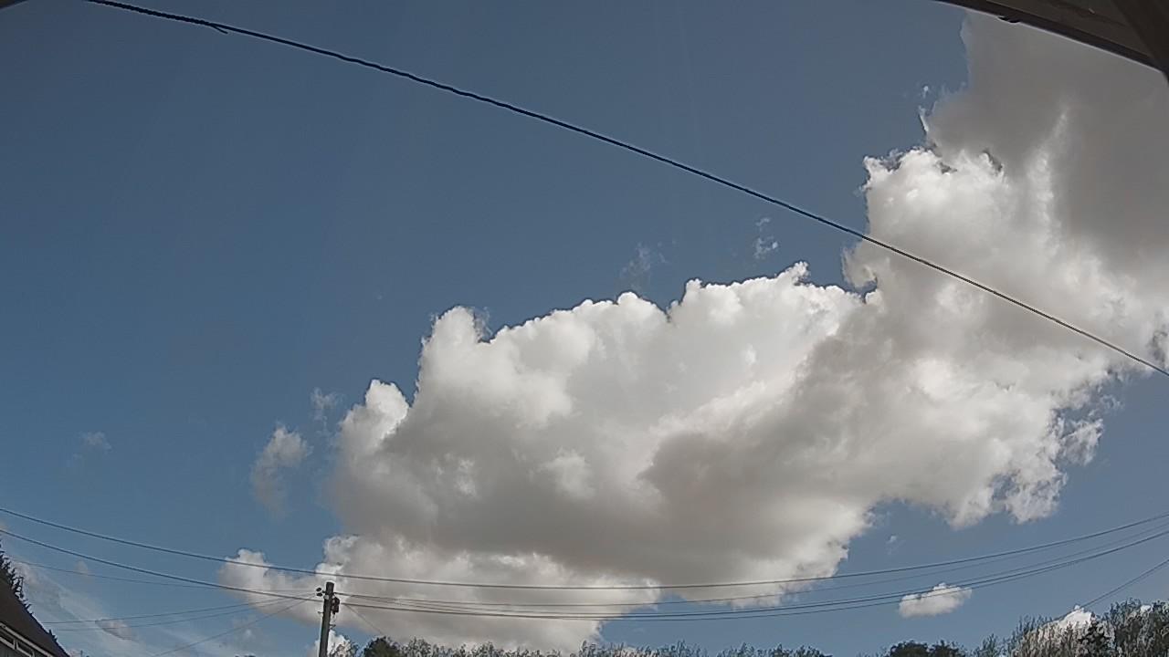 20260821_094844_cam2.jpg