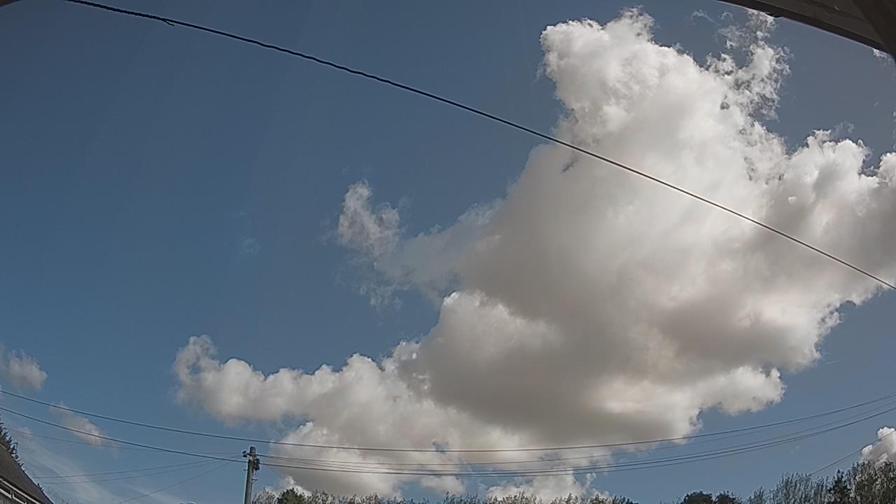 20260821_095301_cam2.jpg