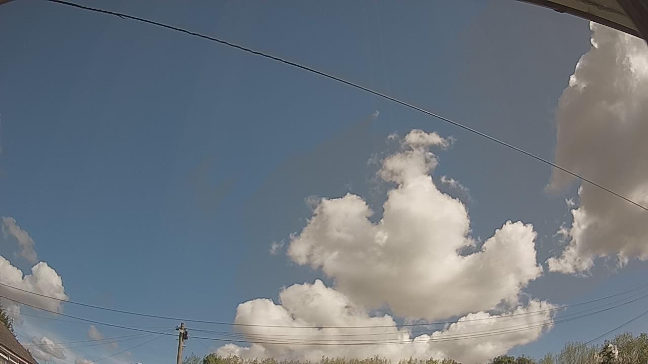 20260821_100119_cam2.jpg