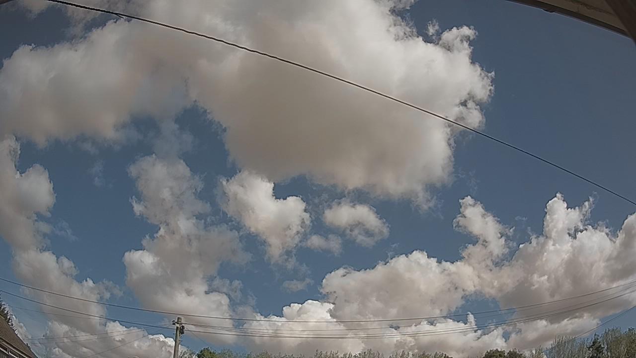 20260821_103753_cam2.jpg