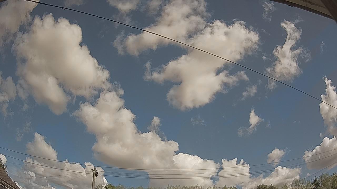 20260821_104203_cam2.jpg