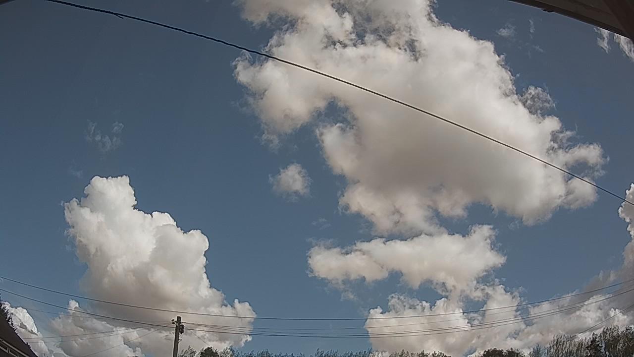 20260821_105025_cam2.jpg