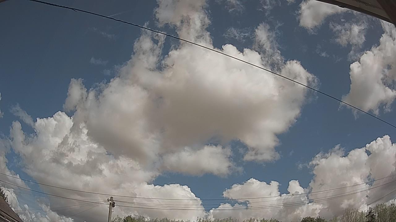 20260821_110239_cam2.jpg