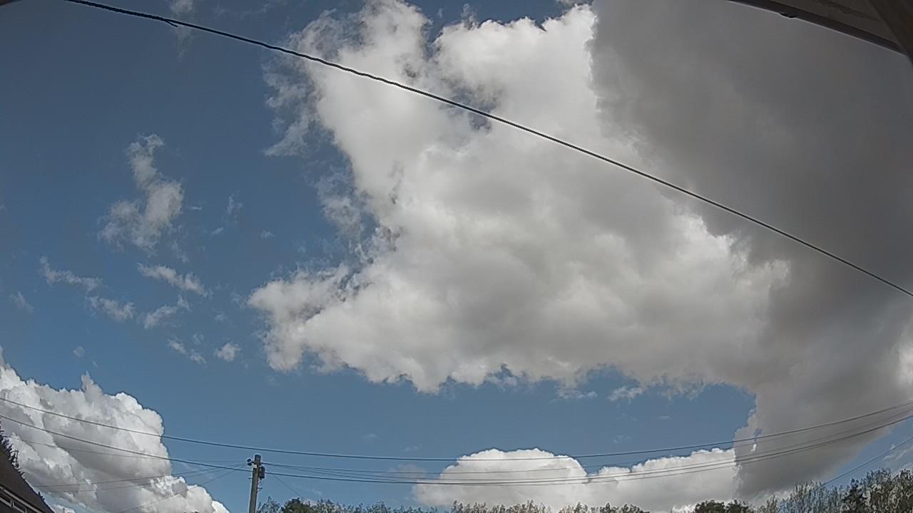 20260821_113039_cam2.jpg
