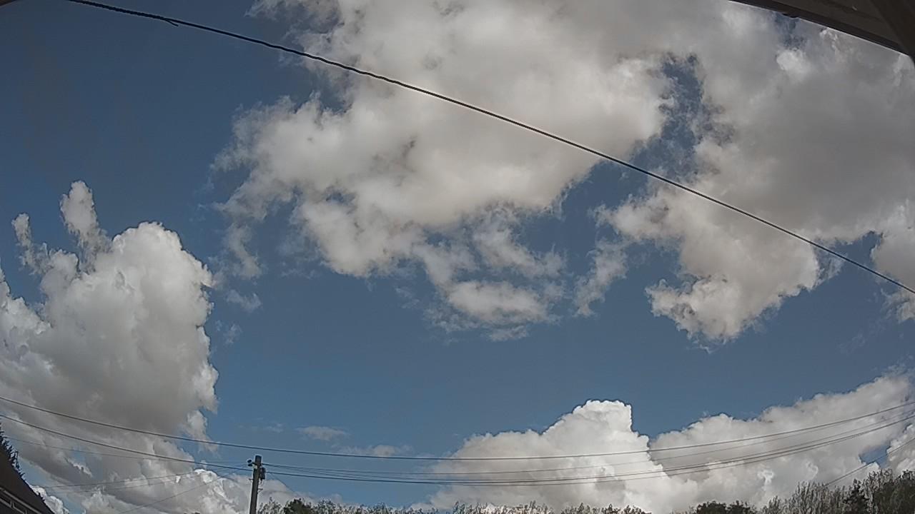 20260821_113838_cam2.jpg