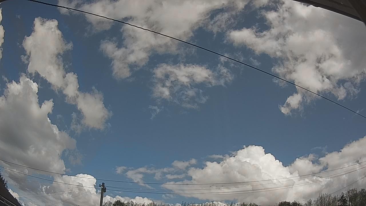 20260821_114238_cam2.jpg