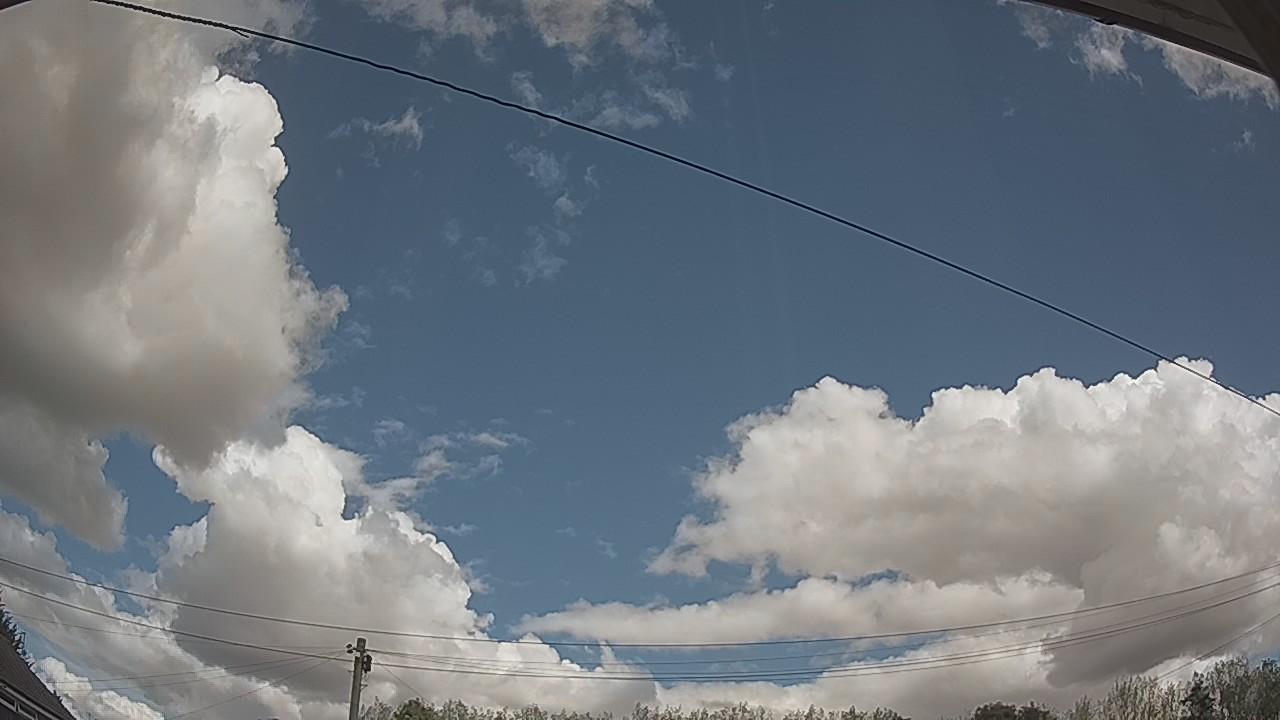 20260821_115036_cam2.jpg