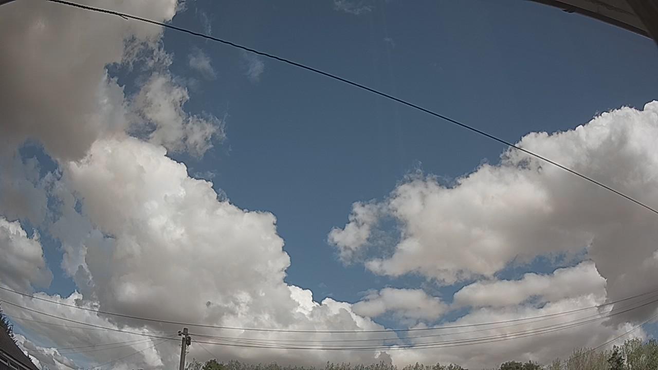 20260821_115436_cam2.jpg