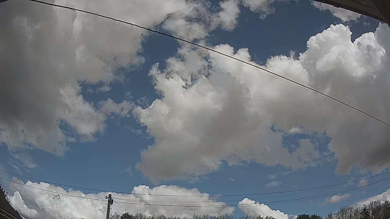 20260821_123032_cam2.jpg