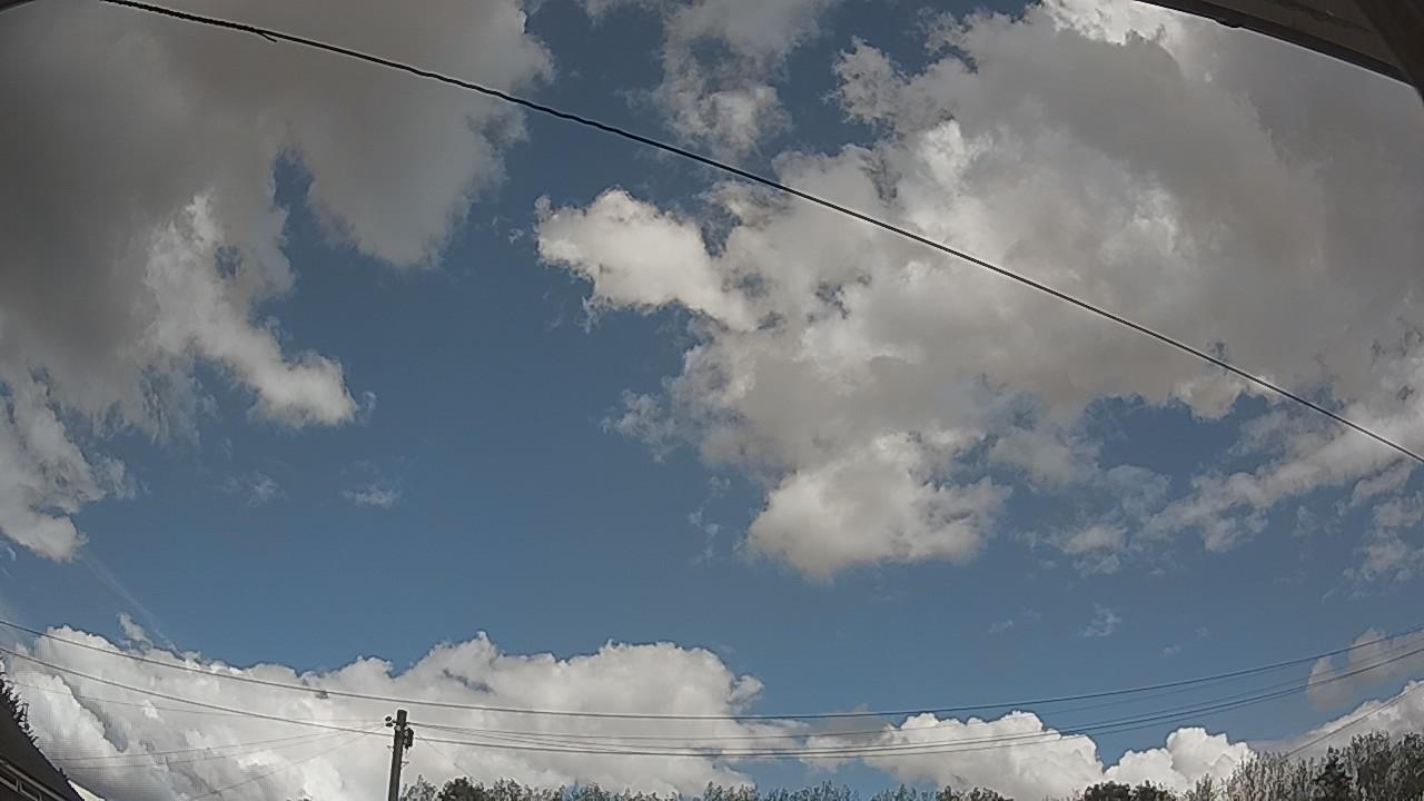 20260821_123431_cam2.jpg