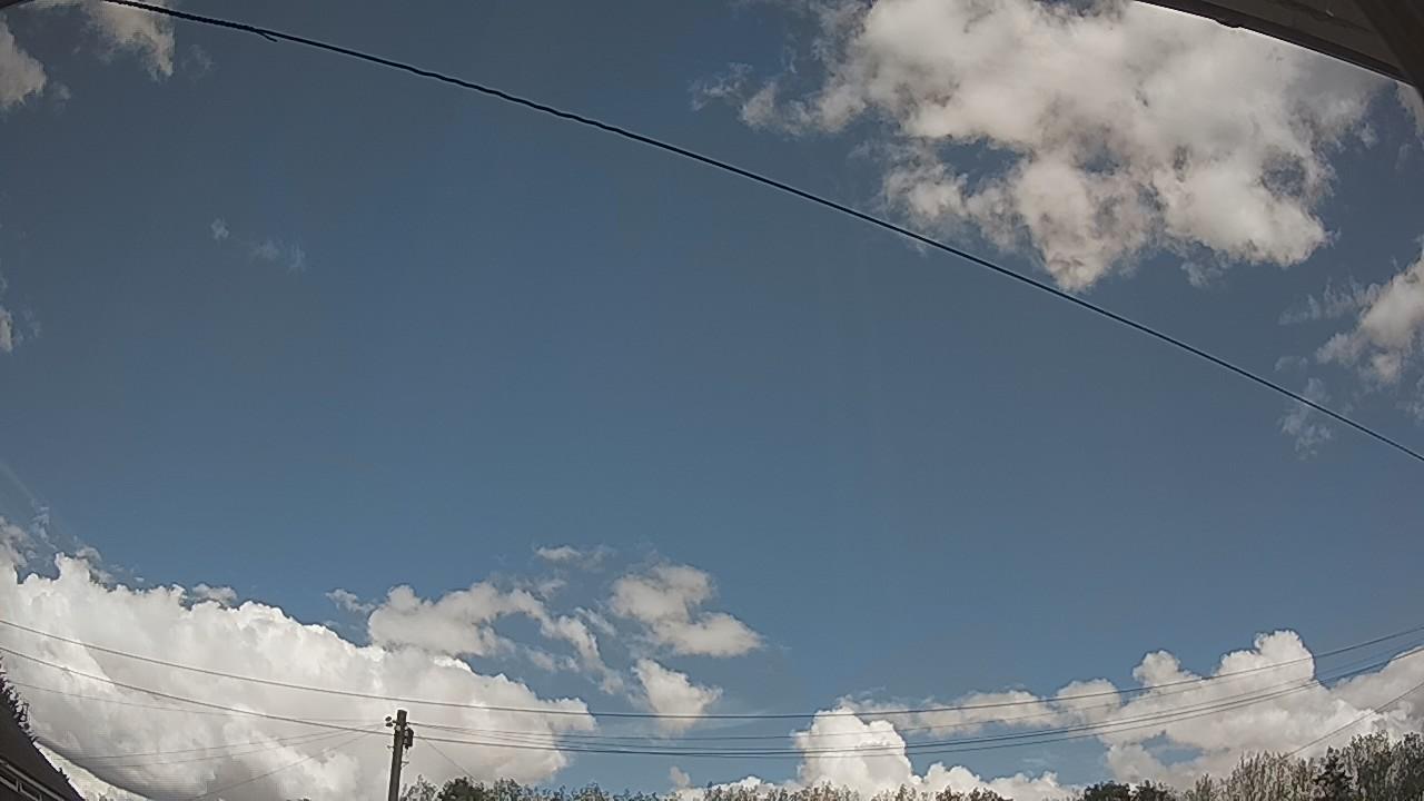 20260821_124230_cam2.jpg