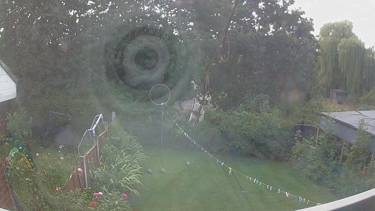 20260821_124630_cam1.jpg