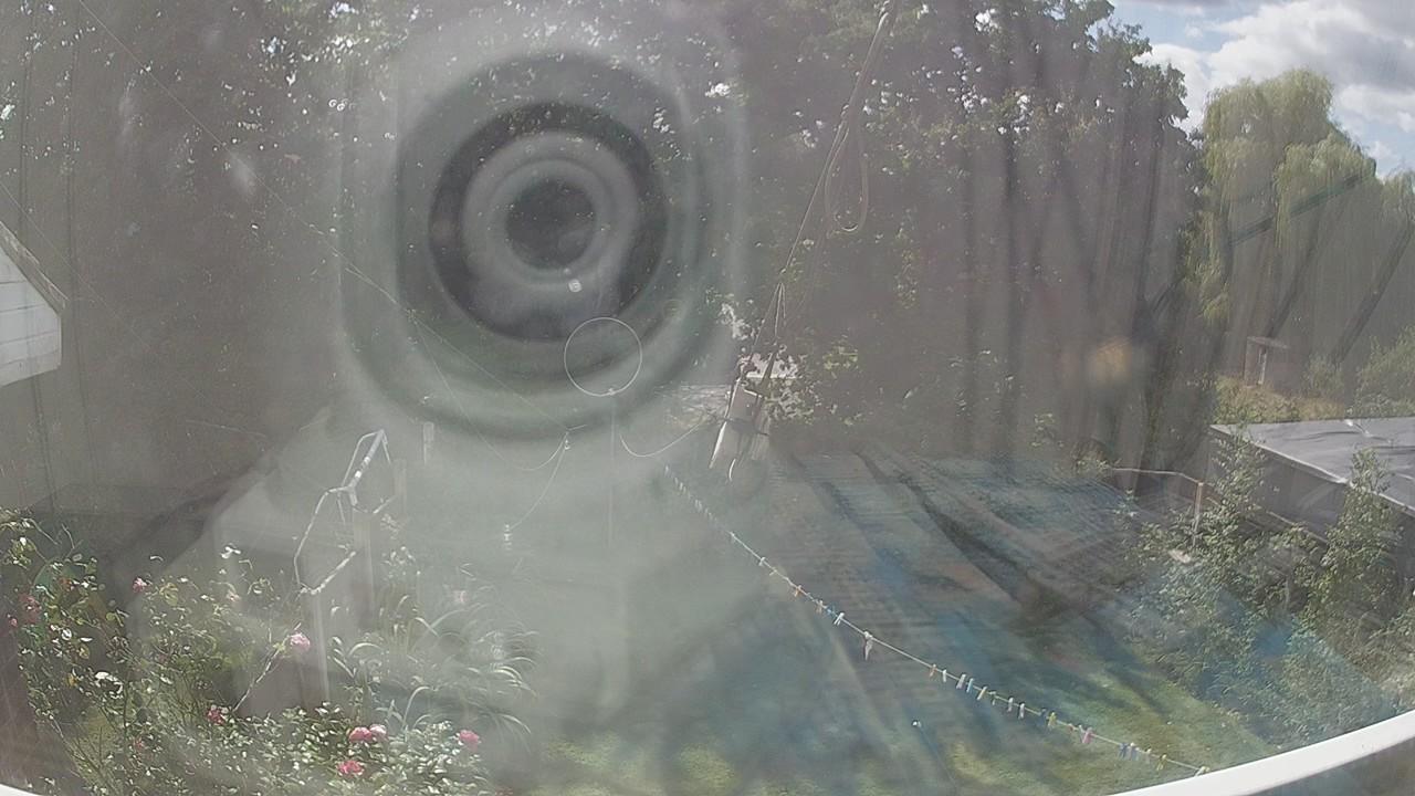 20260821_130955_cam1.jpg