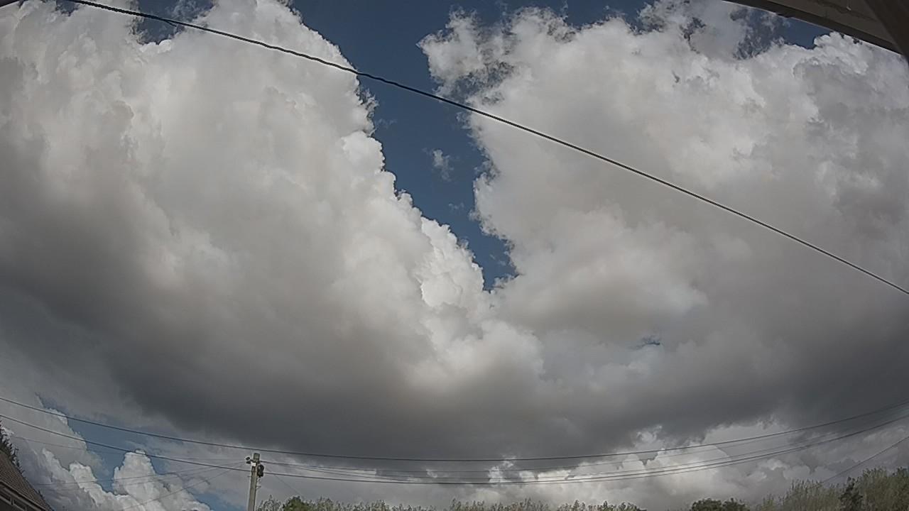 20260821_131347_cam2.jpg