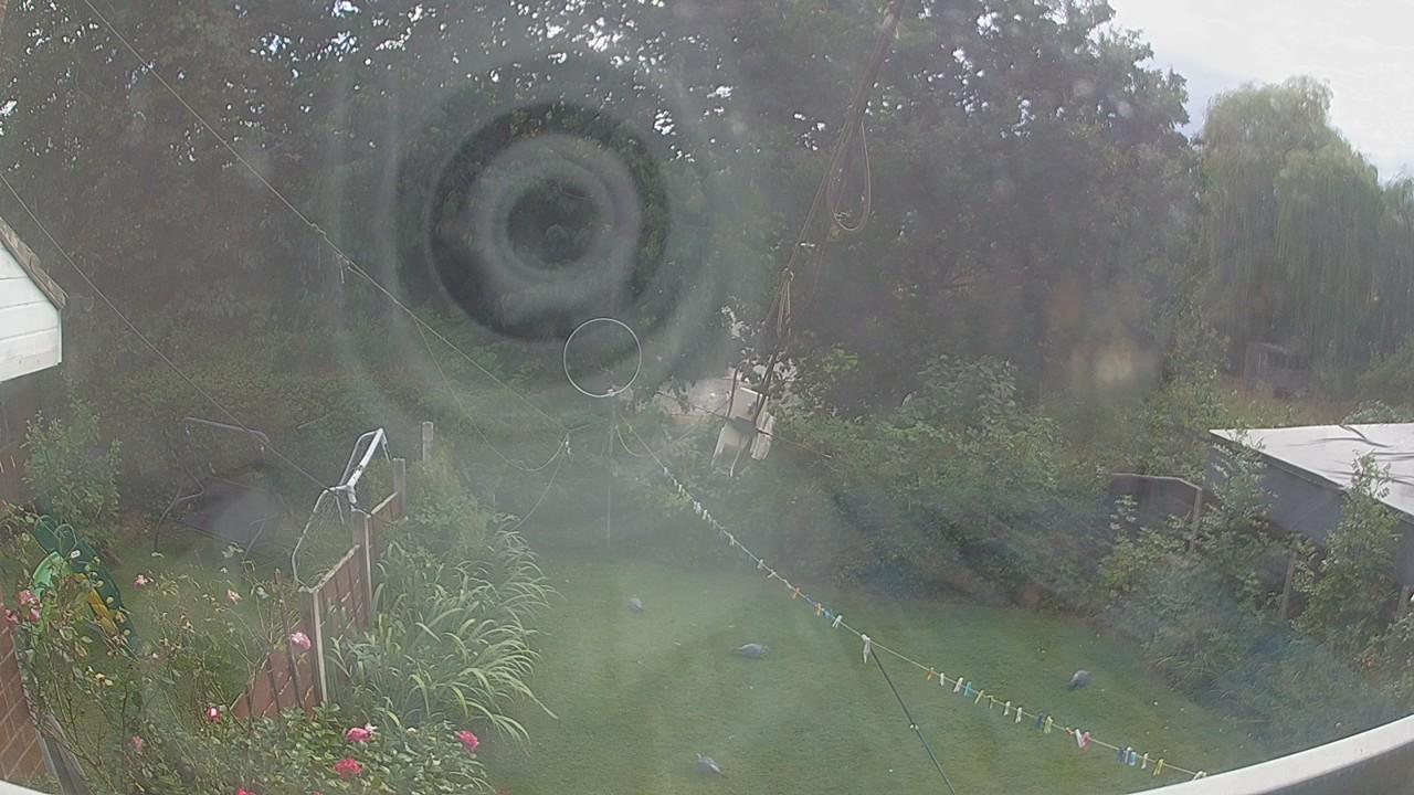 20260821_154920_cam1.jpg