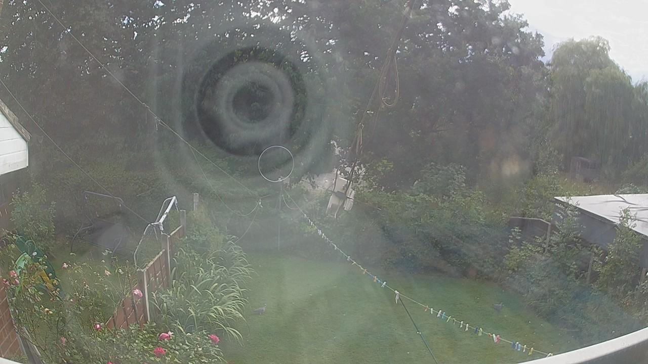 20260821_155302_cam1.jpg