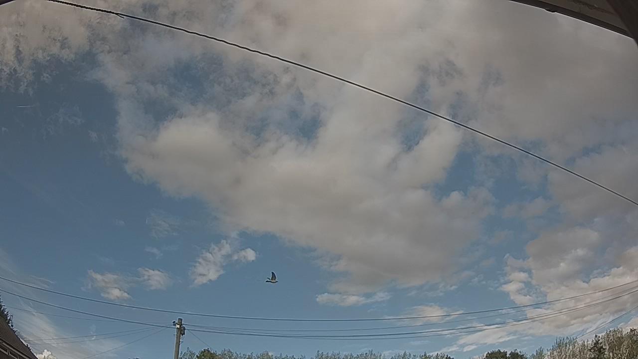 20260821_155303_cam2.jpg