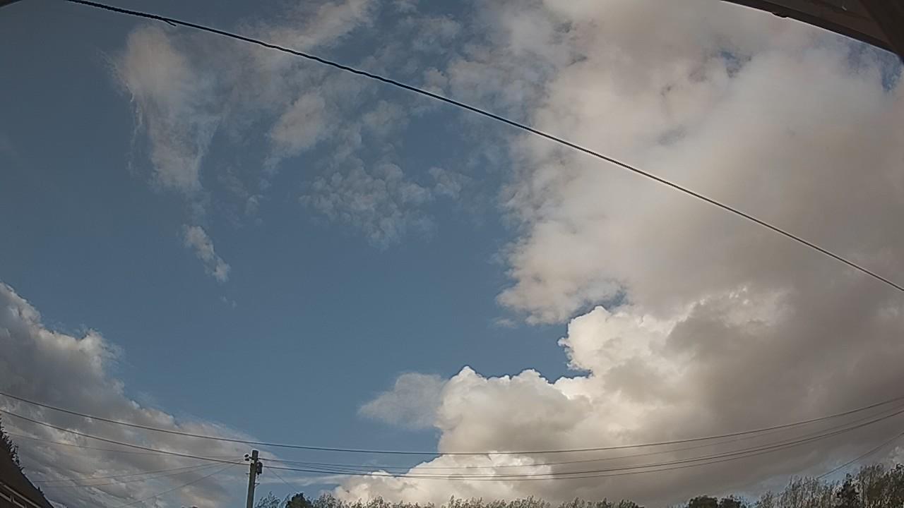 20260821_170500_cam2.jpg