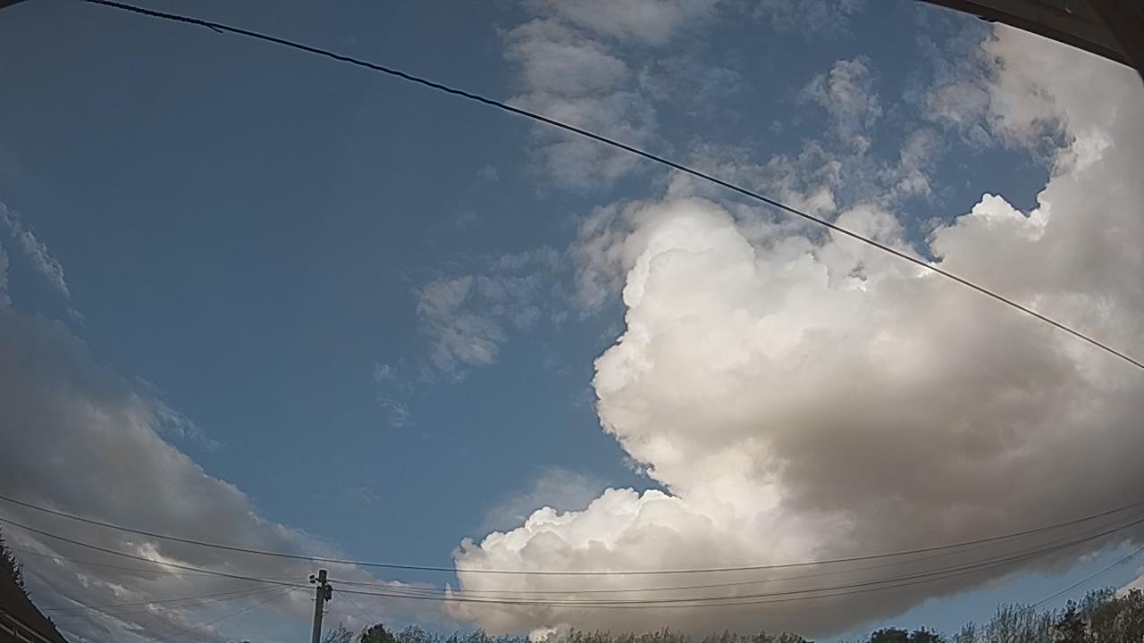 20260821_171245_cam2.jpg