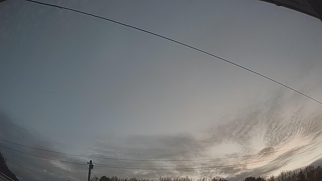 20260822_045452_cam2.jpg