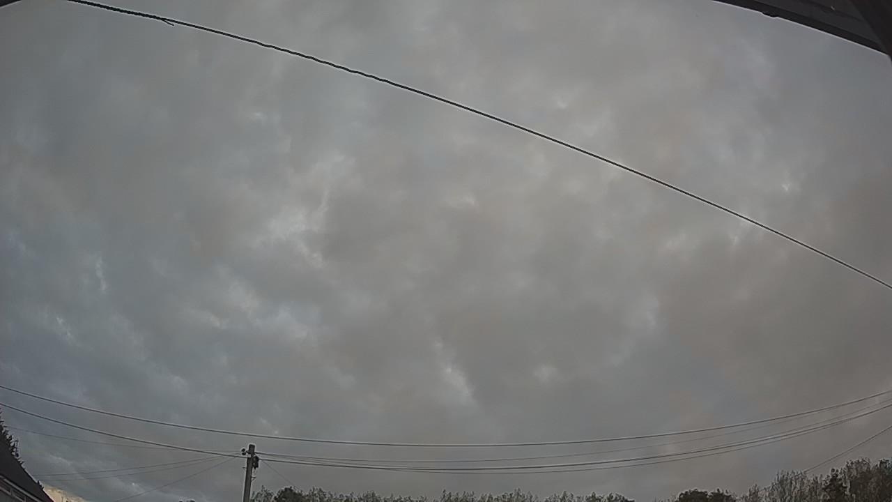 20260822_050908_cam2.jpg