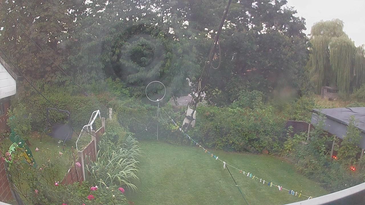 20260822_051352_cam1.jpg