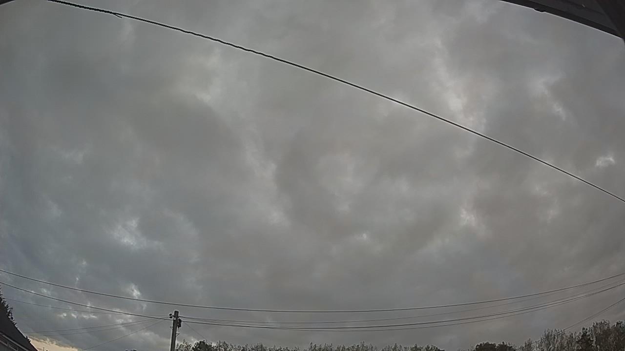20260822_051353_cam2.jpg