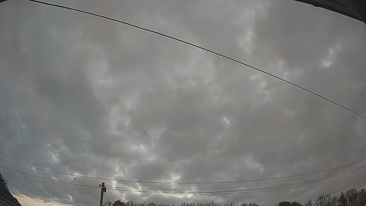 20260822_051838_cam2.jpg