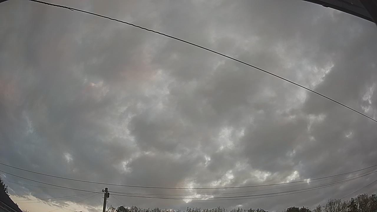 20260822_052323_cam2.jpg