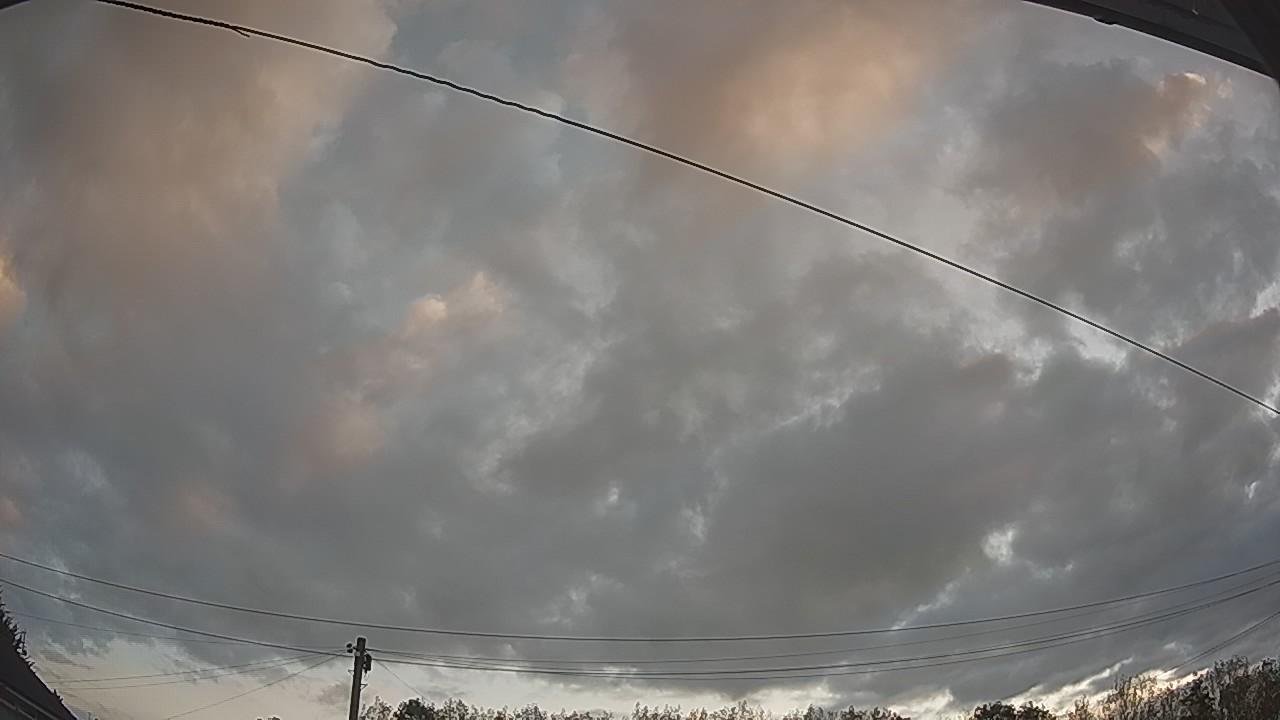 20260822_052809_cam2.jpg
