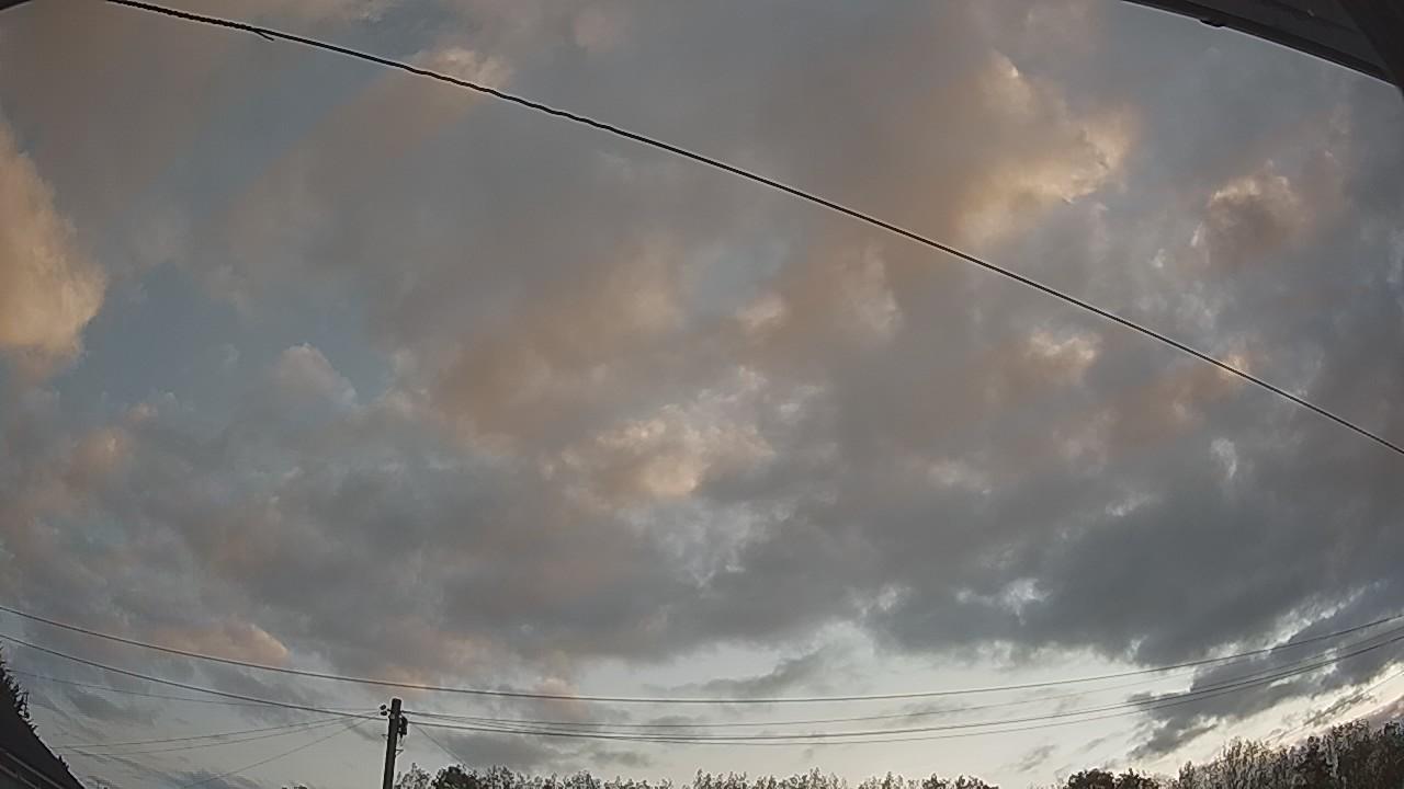 20260822_053303_cam2.jpg