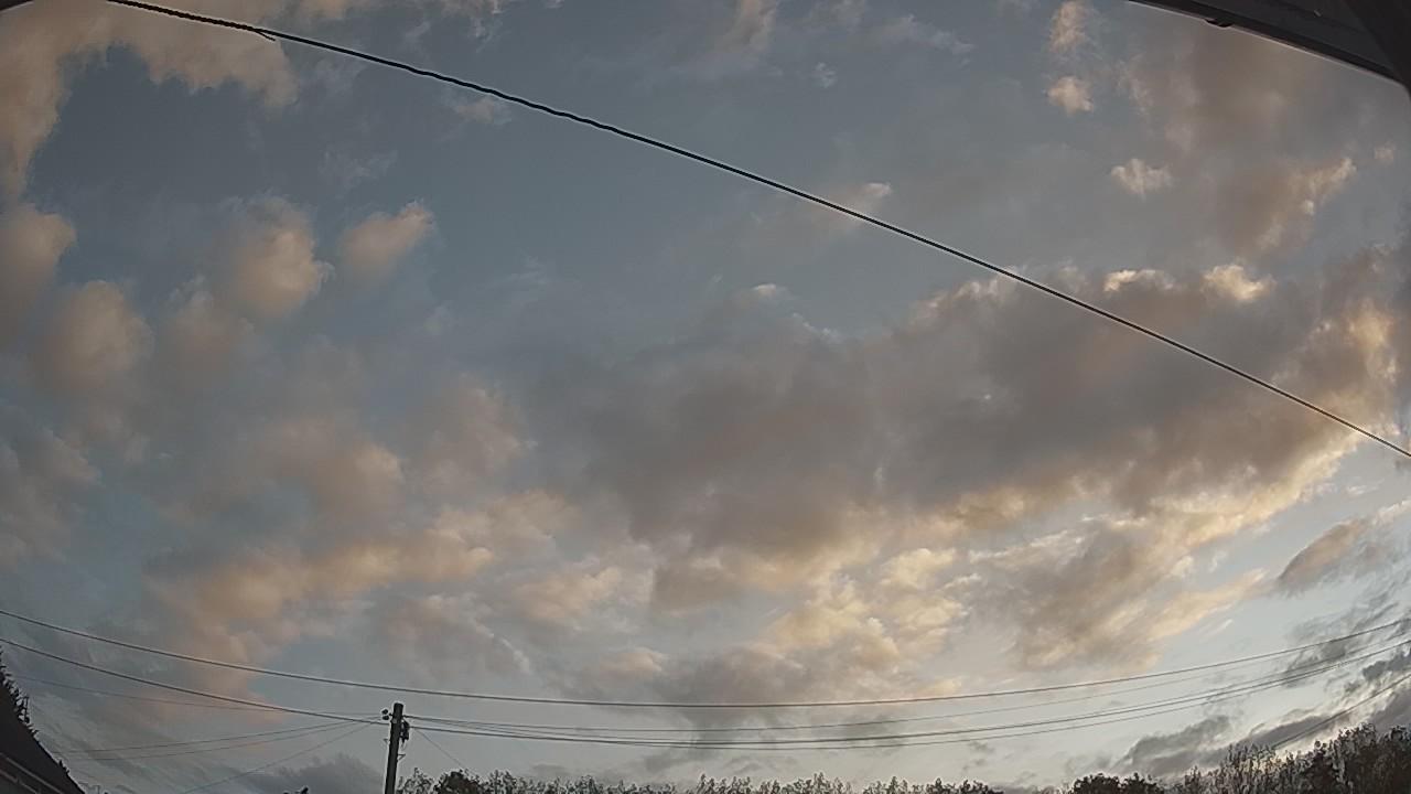 20260822_053757_cam2.jpg