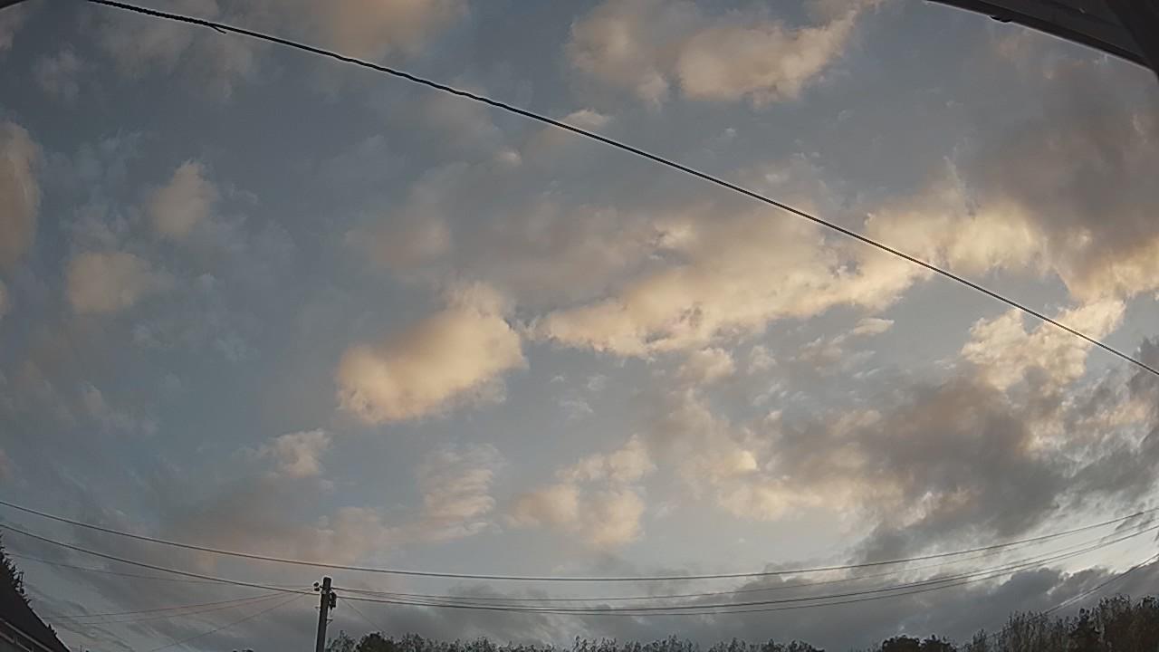 20260822_054251_cam2.jpg