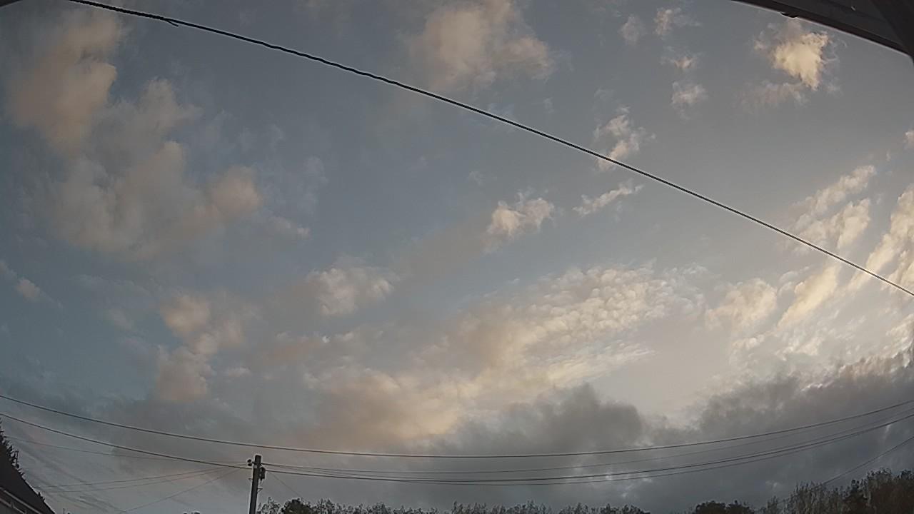 20260822_054745_cam2.jpg