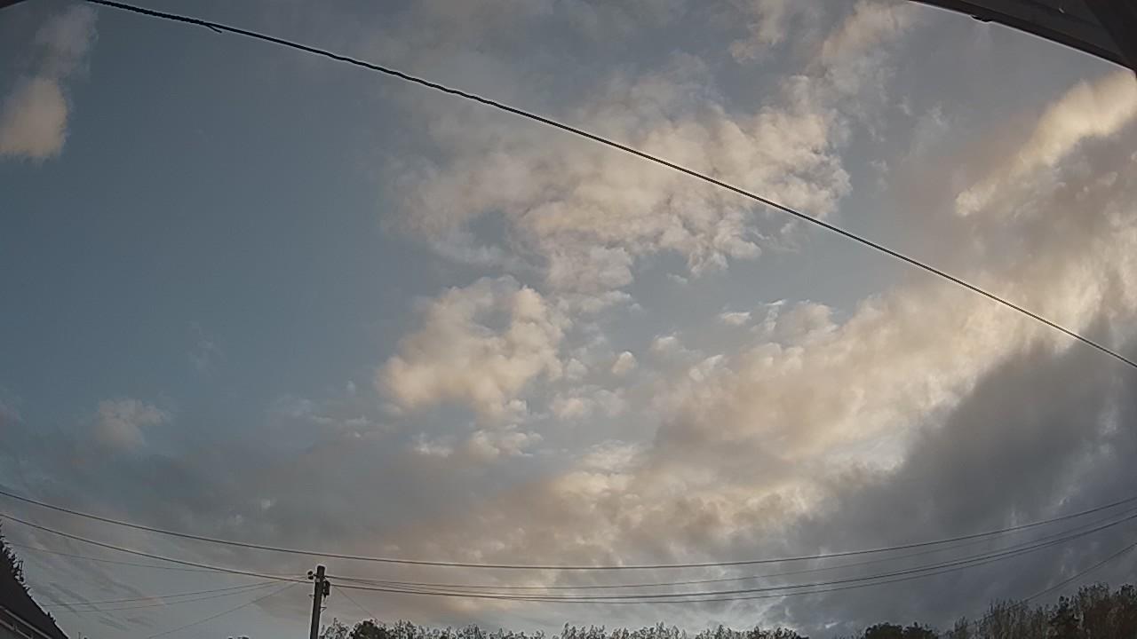 20260822_055239_cam2.jpg