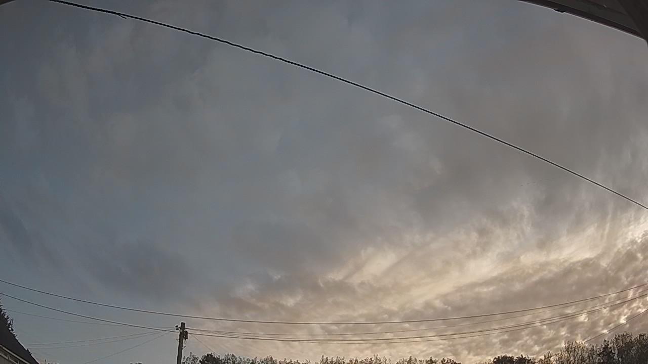 20260822_061631_cam2.jpg