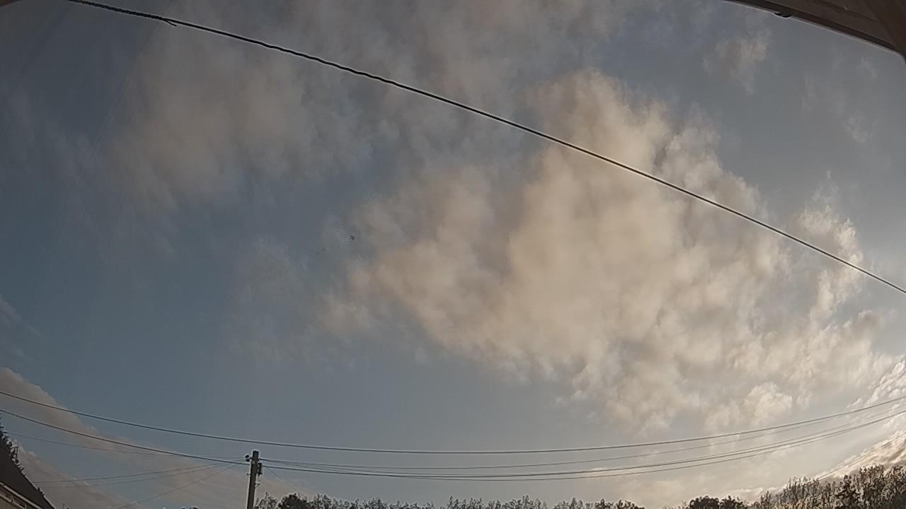 20260822_063038_cam2.jpg
