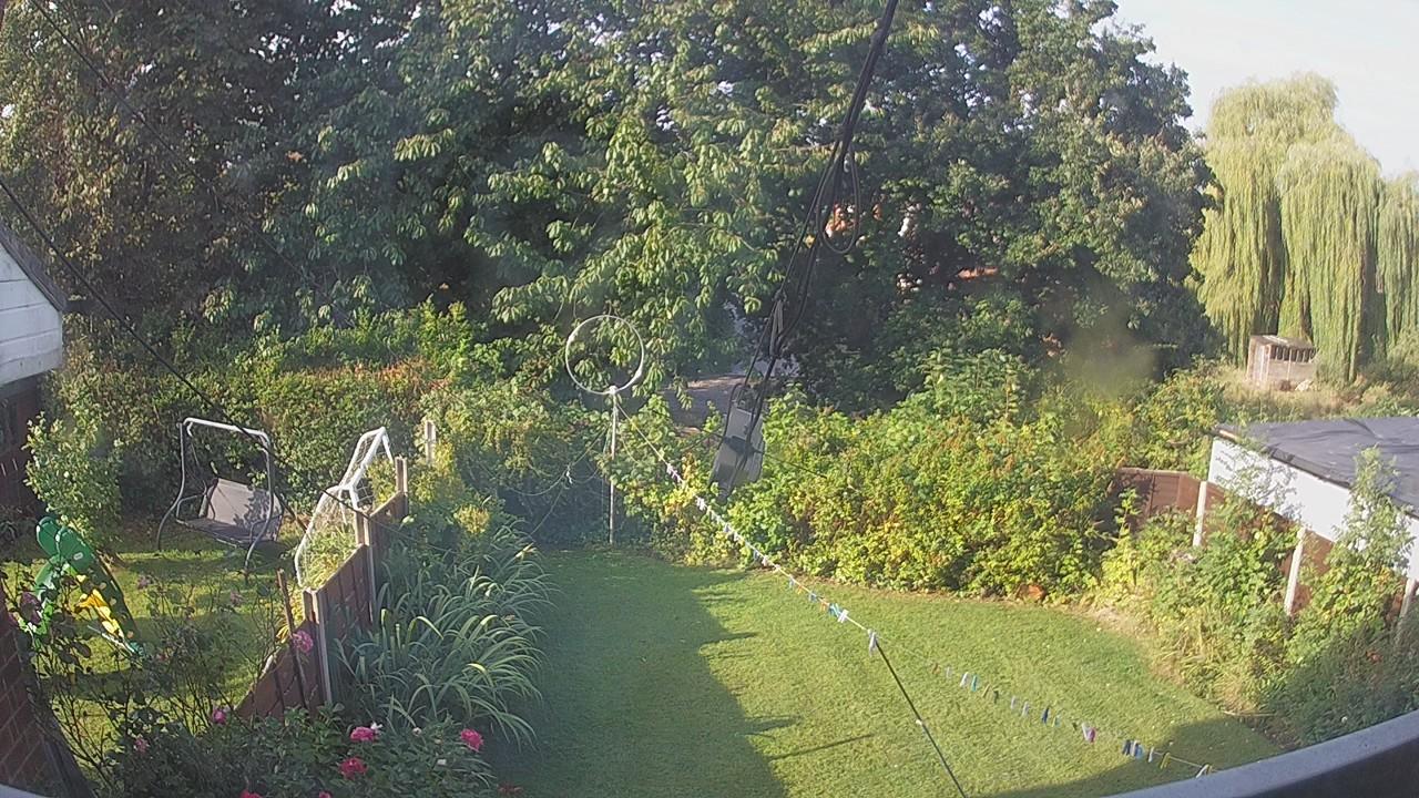 20260822_074502_cam1.jpg