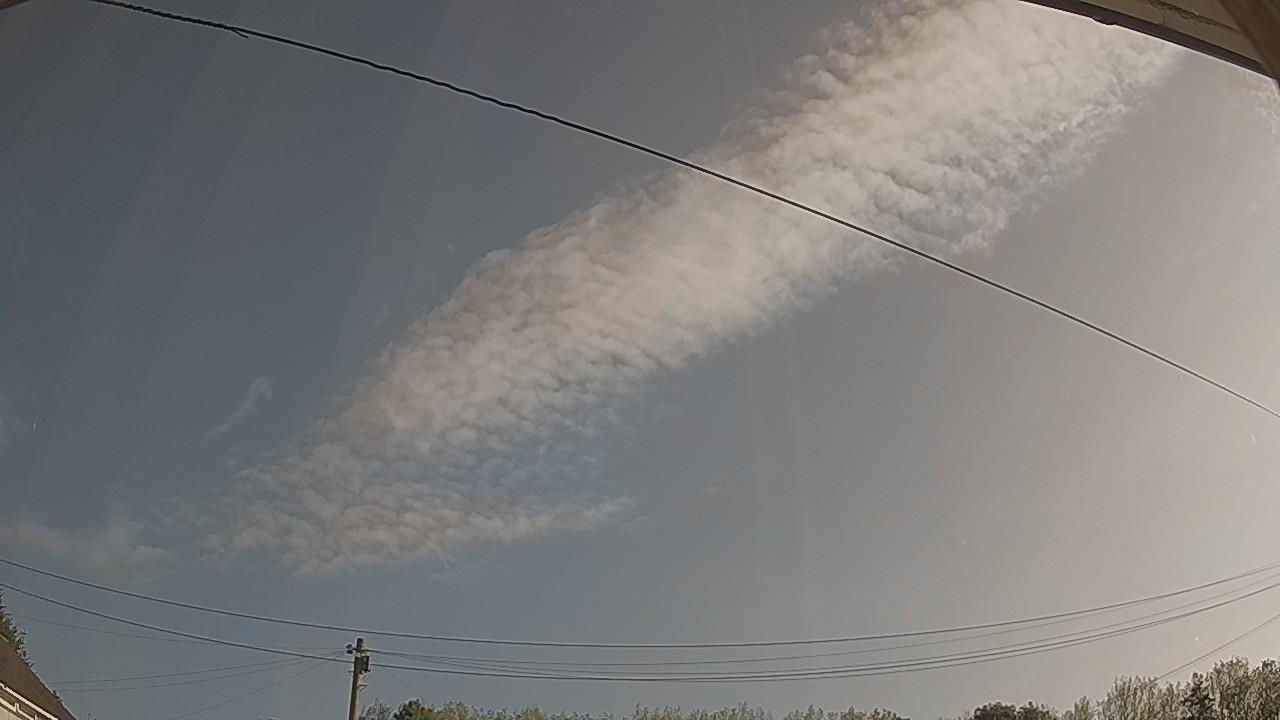 20260822_075417_cam2.jpg