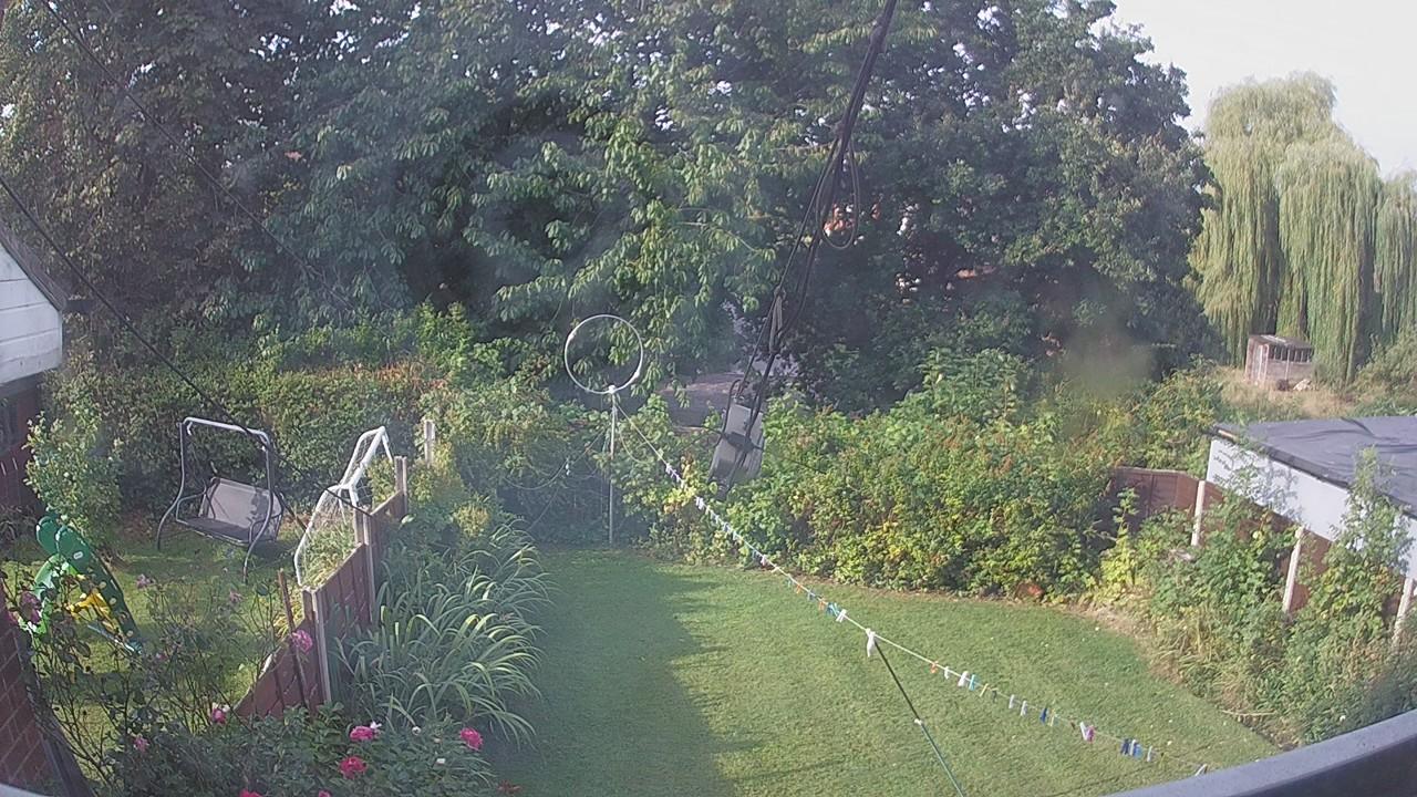 20260822_080347_cam1.jpg