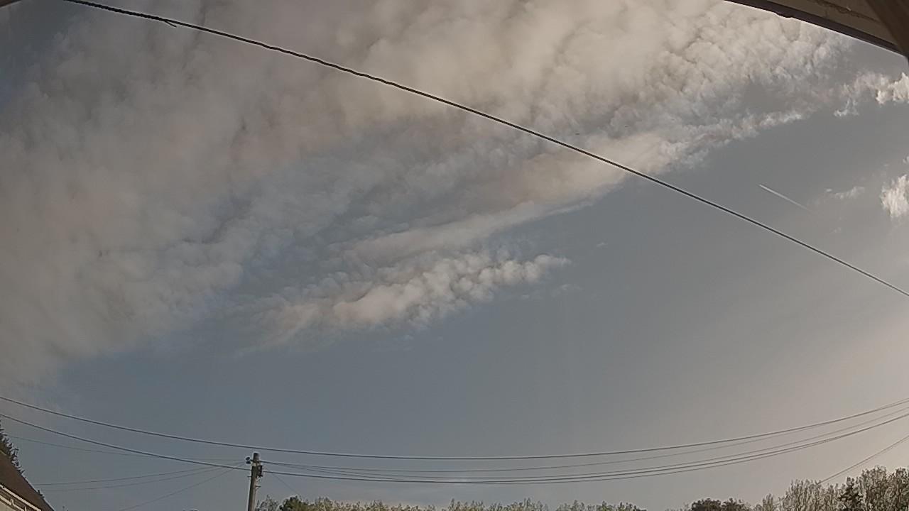 20260822_080348_cam2.jpg
