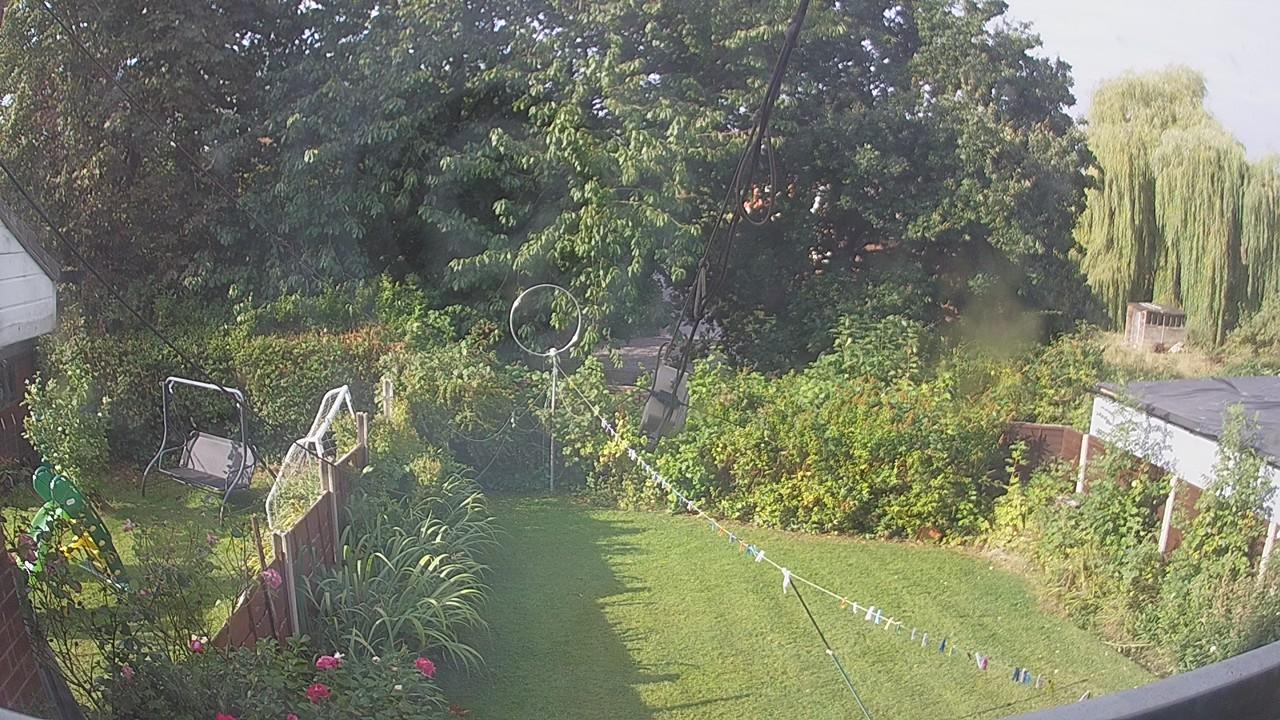 20260822_080833_cam1.jpg