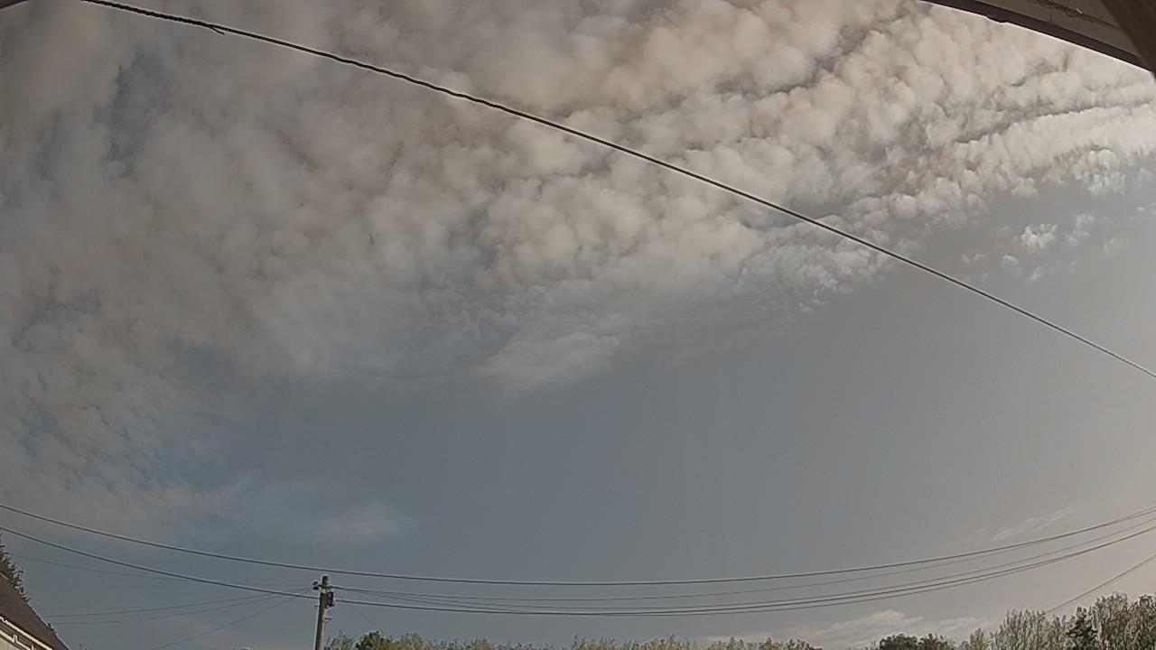 20260822_080834_cam2.jpg