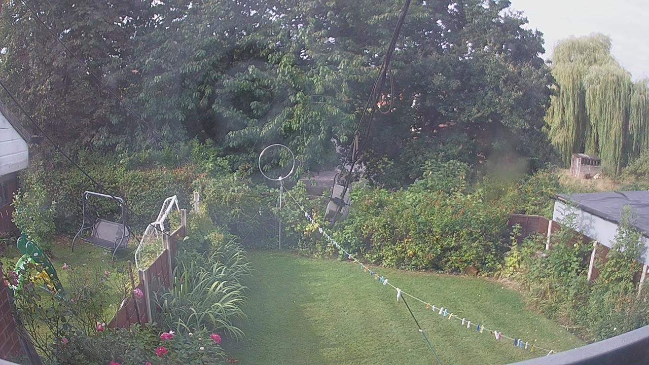 20260822_081318_cam1.jpg