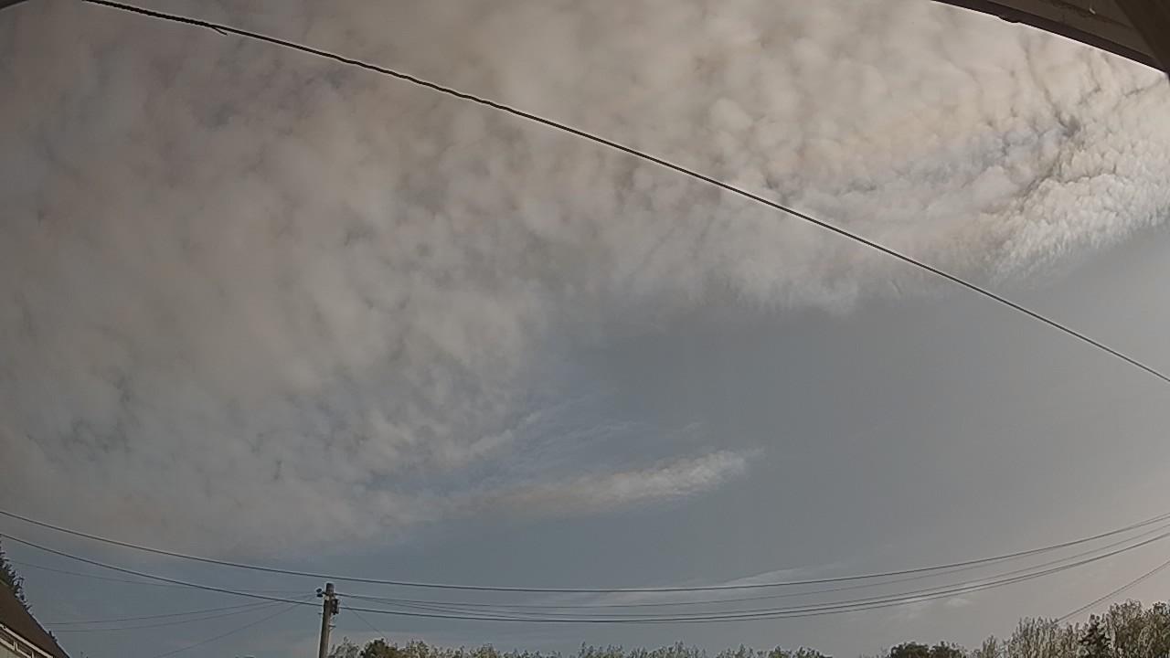 20260822_081319_cam2.jpg